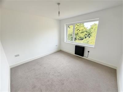 Picture 24